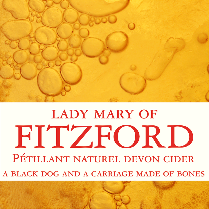 Sampford Courtenay Lady Mary of Fitzford